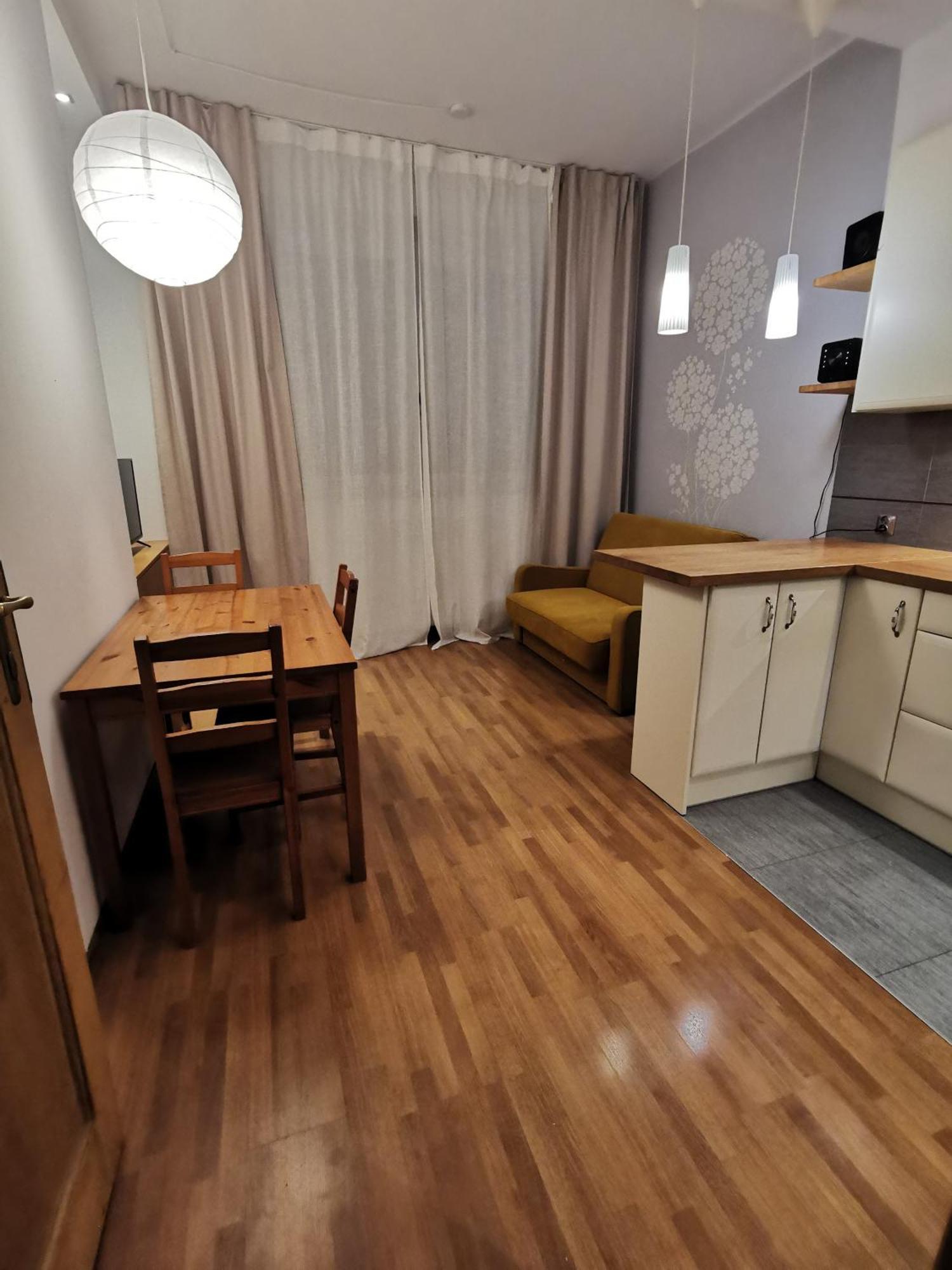 Cozy Spacious Apartment With Balcony 克拉科夫 外观 照片